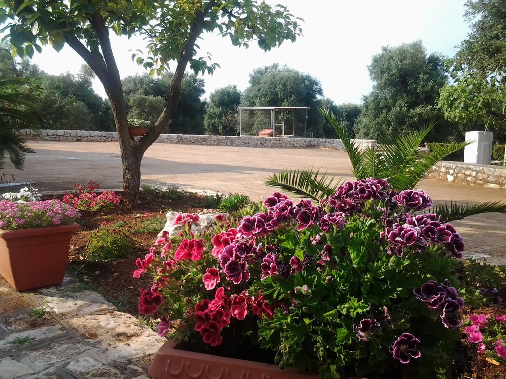La Collina Degli Ulivi Apartment Fasano Ngoại thất bức ảnh
