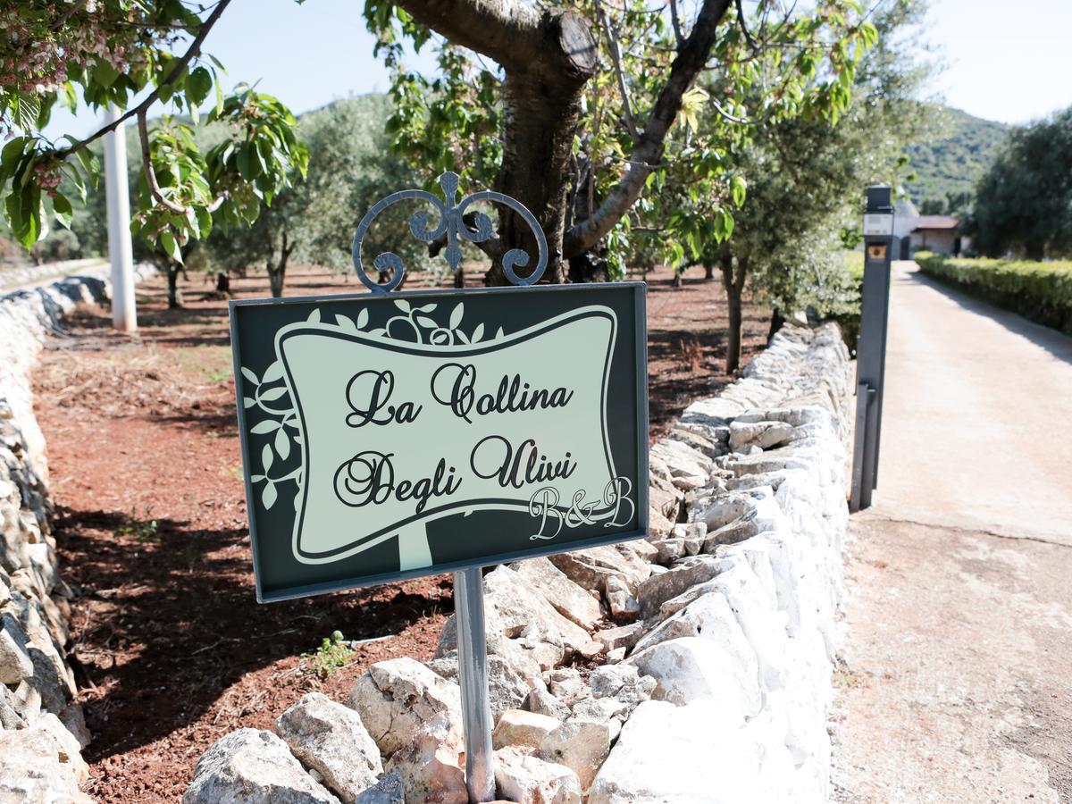 La Collina Degli Ulivi Apartment Fasano Ngoại thất bức ảnh